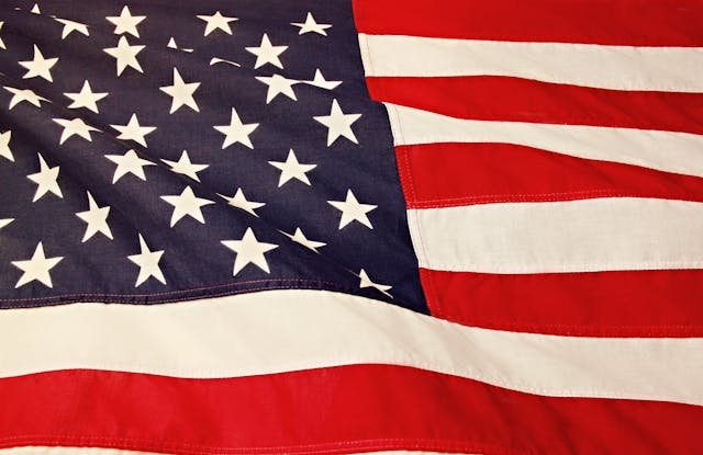 USA Flag: Allies